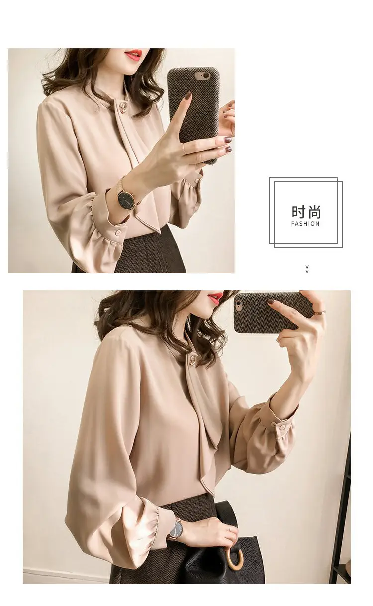Women Chiffon Long Sleeve Shirt Brown Large — feature 14
