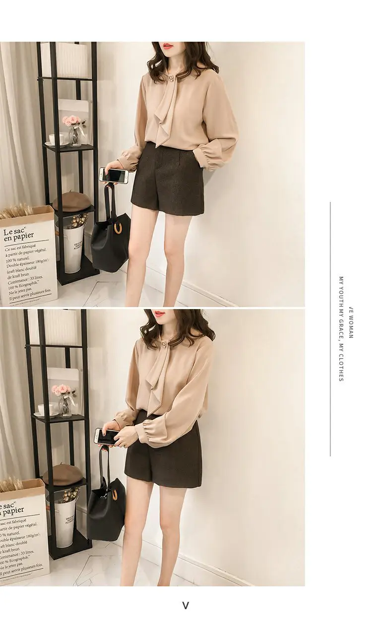 Women Chiffon Long Sleeve Shirt Brown Large — feature 15