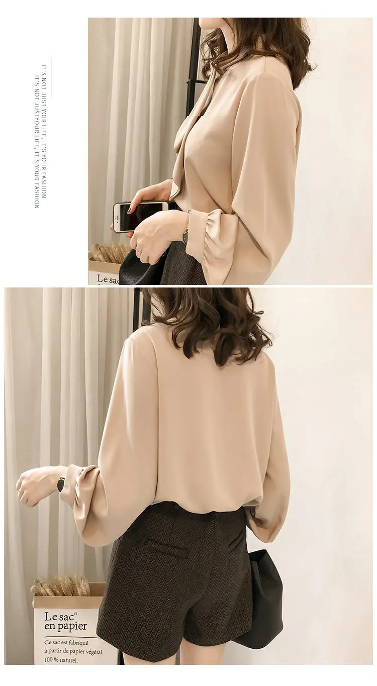 Women Chiffon Long Sleeve Shirt Brown Large — feature 16