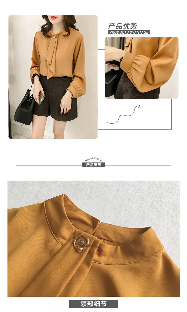 Women Chiffon Long Sleeve Shirt Brown Large — feature 2