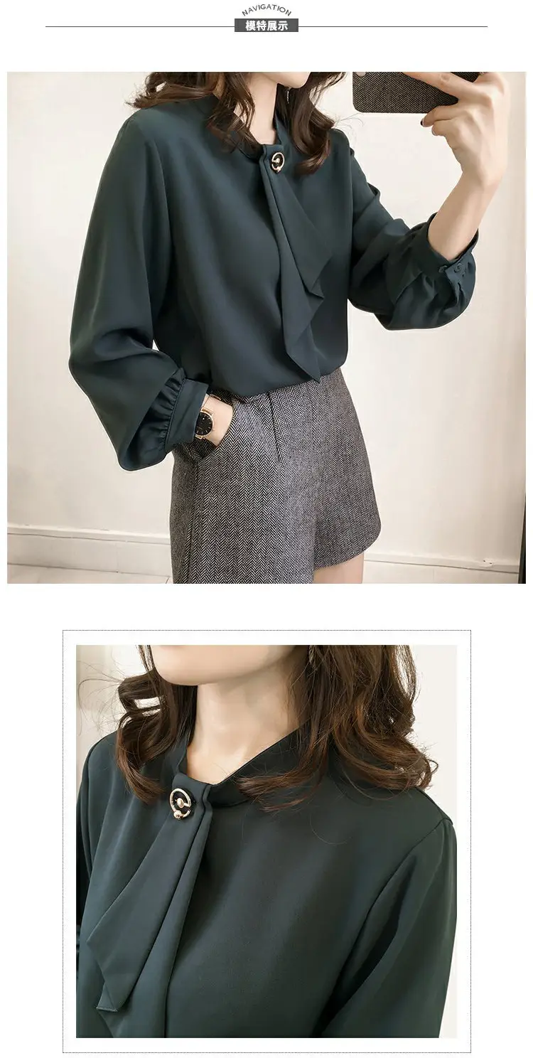 Women Chiffon Long Sleeve Shirt Brown Large — feature 4