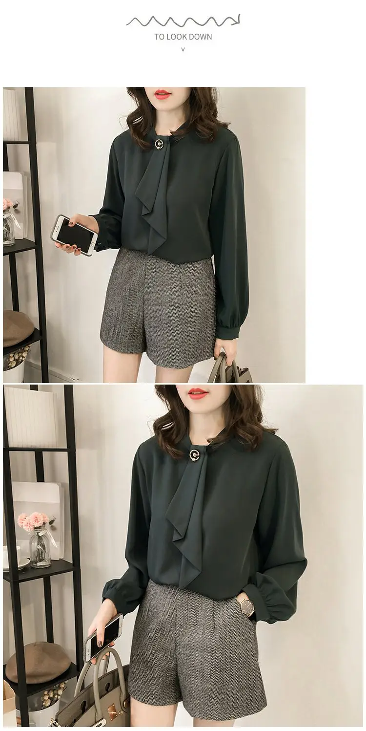 Women Chiffon Long Sleeve Shirt Brown Large — feature 5