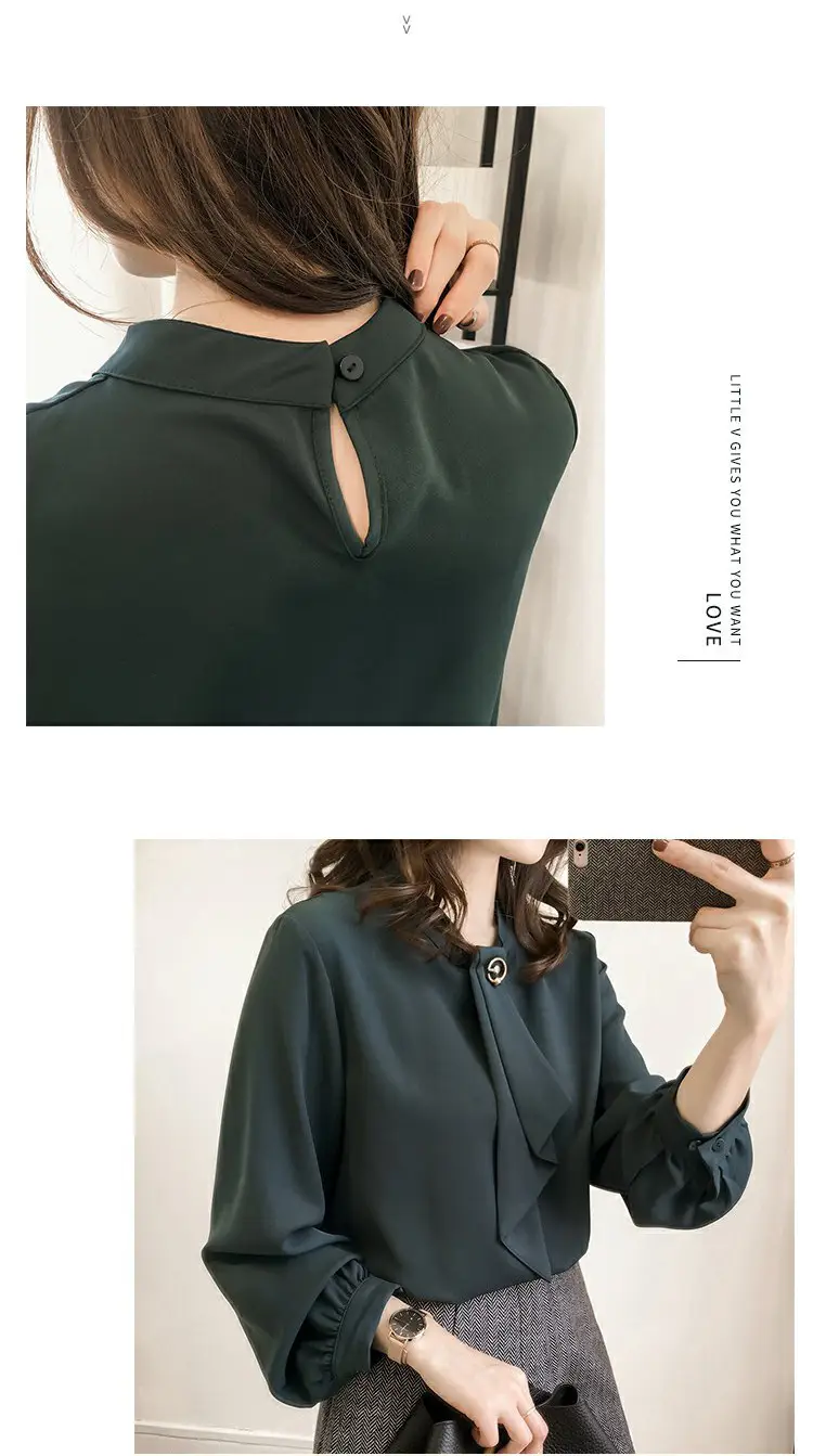Women Chiffon Long Sleeve Shirt Brown Large — feature 6