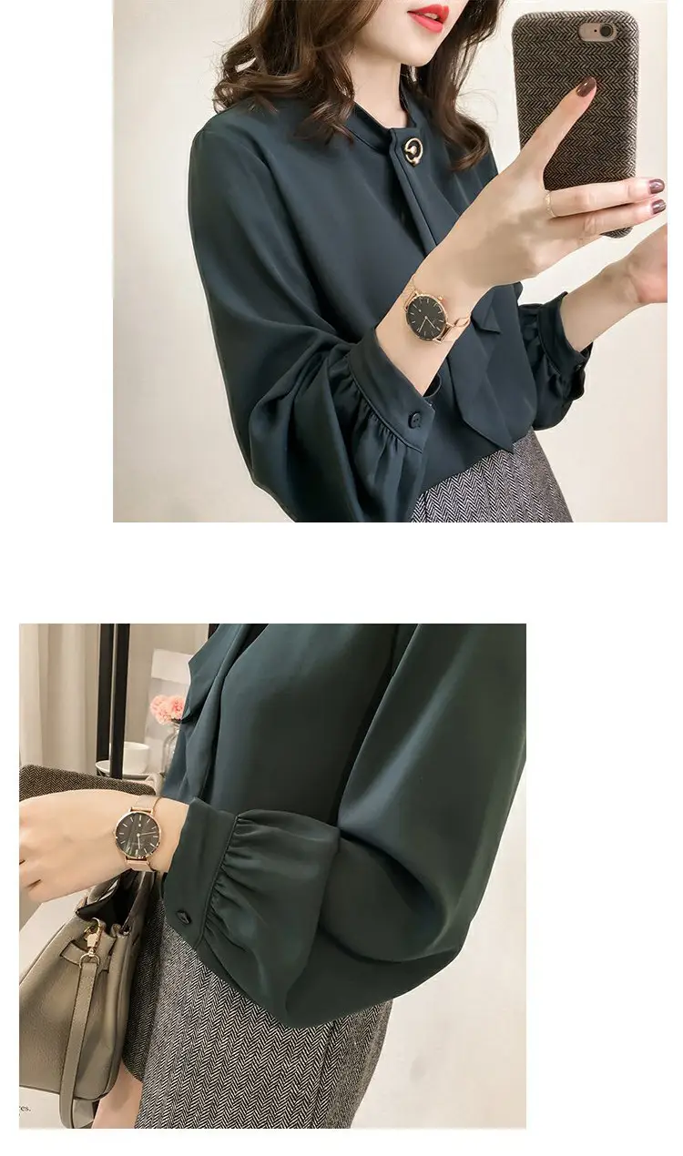 Women Chiffon Long Sleeve Shirt Brown Large — feature 7