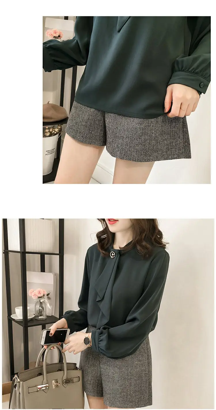 Women Chiffon Long Sleeve Shirt Brown Large — feature 8