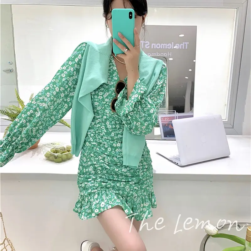Korean Style Floral Pleated Dress for Women