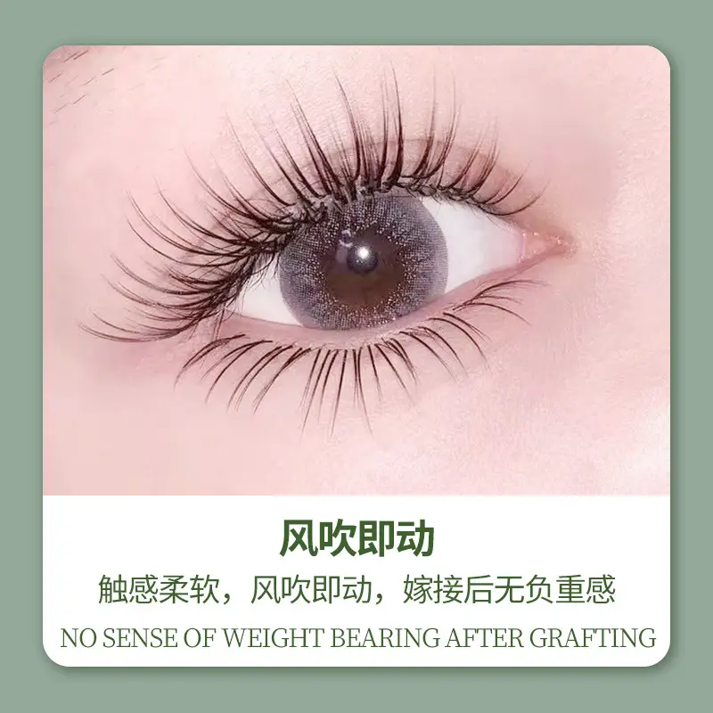 Wind Blowing Single Flat Matte Grafting Eyelash Gray - Image 4