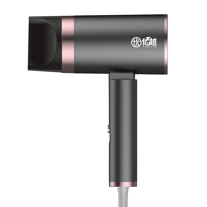 Net Red Hair Dryer for Home Travel Use - Image 2