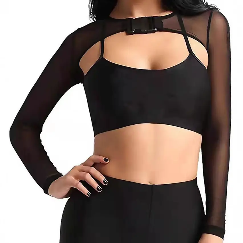 See-Through Mesh Crop Top with Transparent Front Placket & Long Sleeves - Image 2