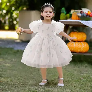 Pink Beaded Princess Dress for Girls Wedding Tutu — feature 5