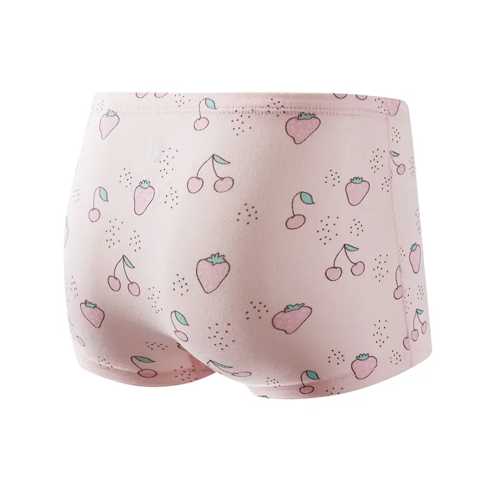 New Korean Girls Cotton Printed Box of 2 Underwear — feature 13