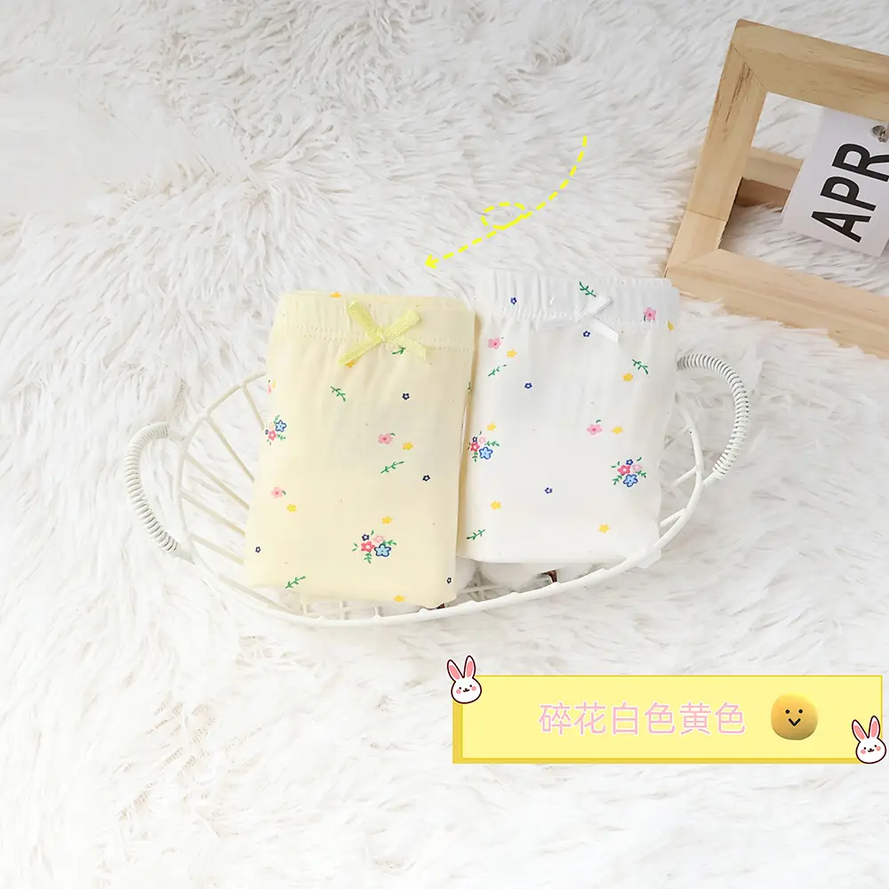 New Korean Girls Cotton Printed Box of 2 Underwear - Image 25