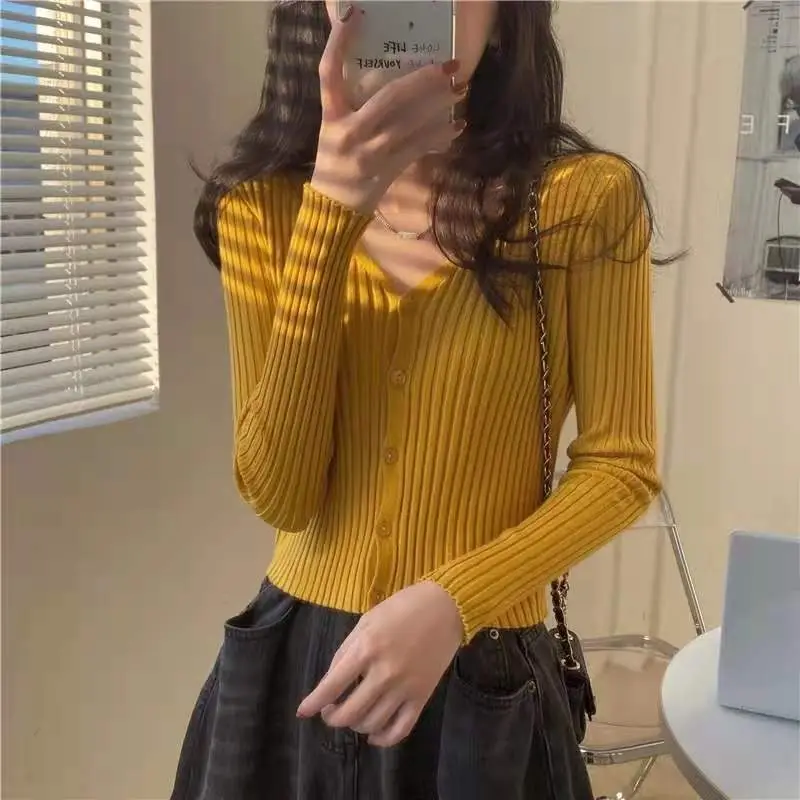 Korean Style Slim Fit V Neck Knitted Top for Women
