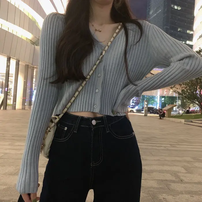 Korean Style Slim Fit V Neck Knitted Top for Women