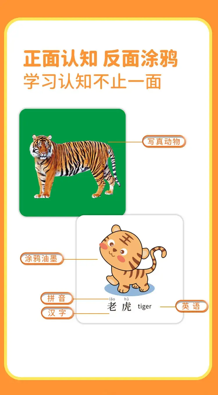 Water Pen Graffiti Cognitive Cards for Kids 3+ — feature 5