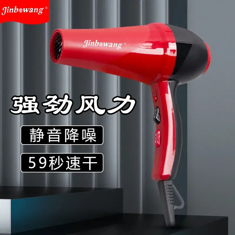 Vietnam Professional Red Hair Dryer with Negative Ion Technology - Image 4