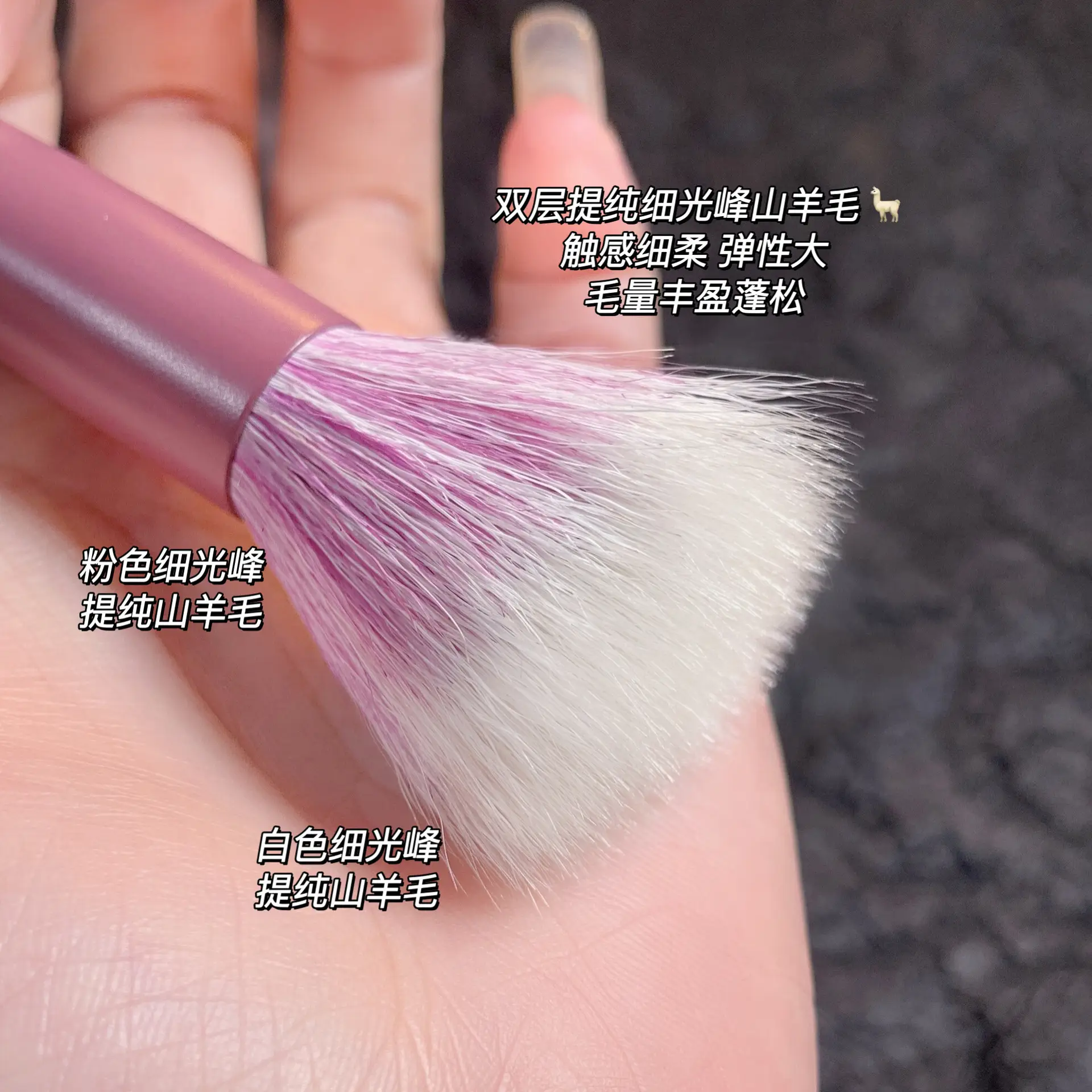 Wool Blush Pointed Brush for Soft Skin Tone - Image 4