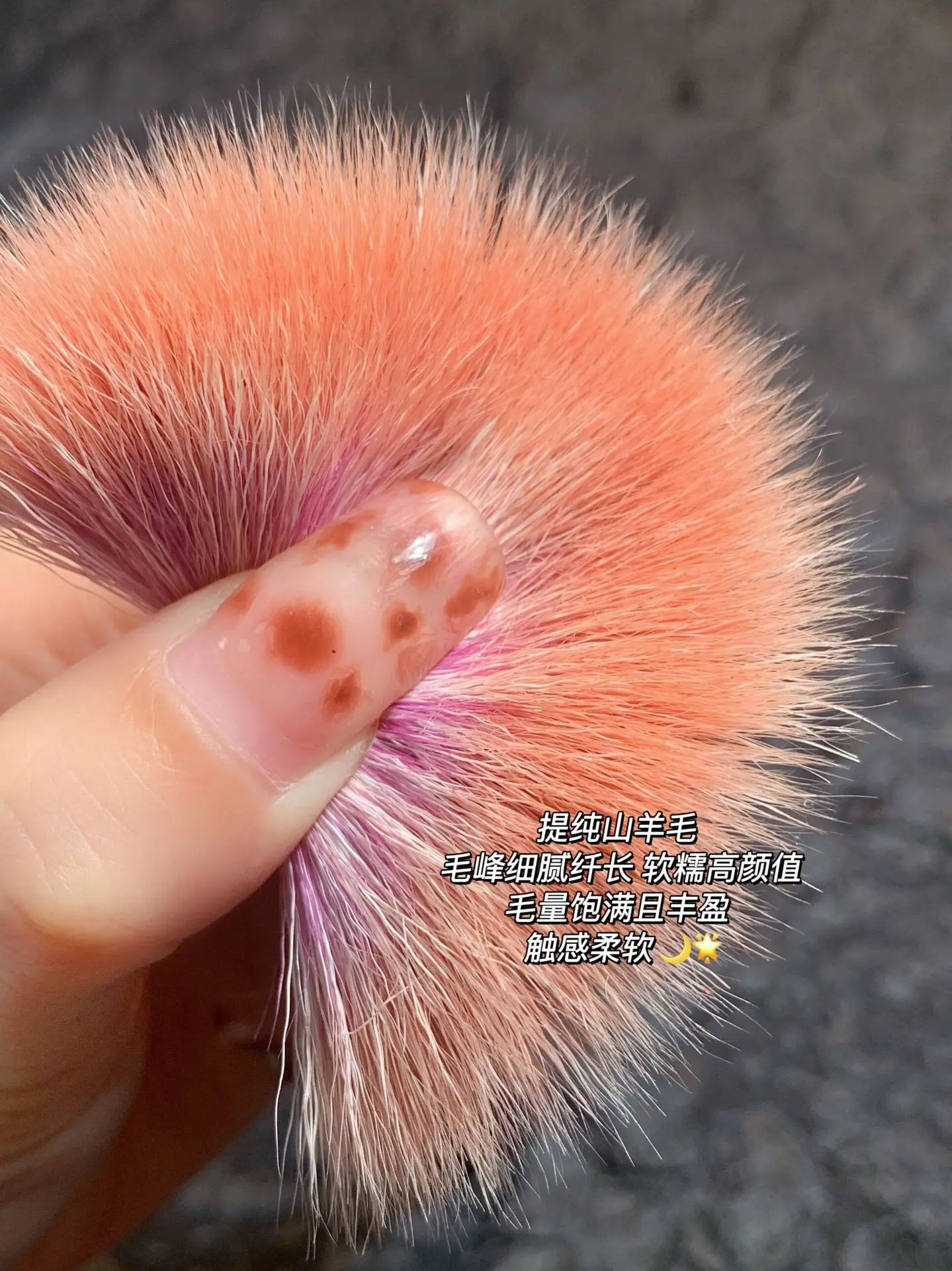 Wool Blush Pointed Brush for Soft Skin Tone — feature 6