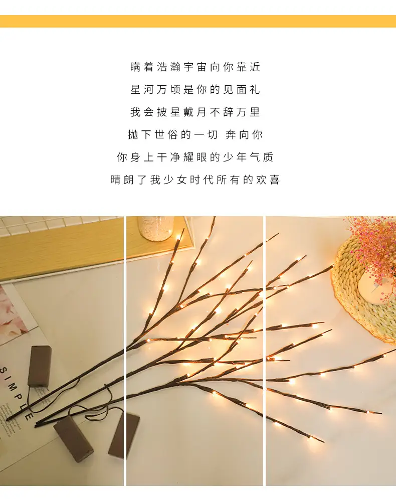 详2.jpg
