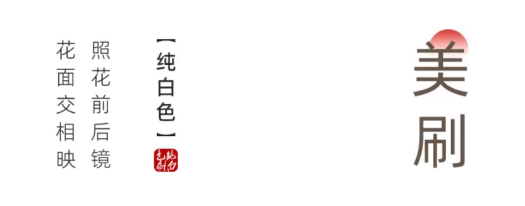 Ebony Copper Dot Blush Brush Fine Light Front Wool Animal Hair — feature 7