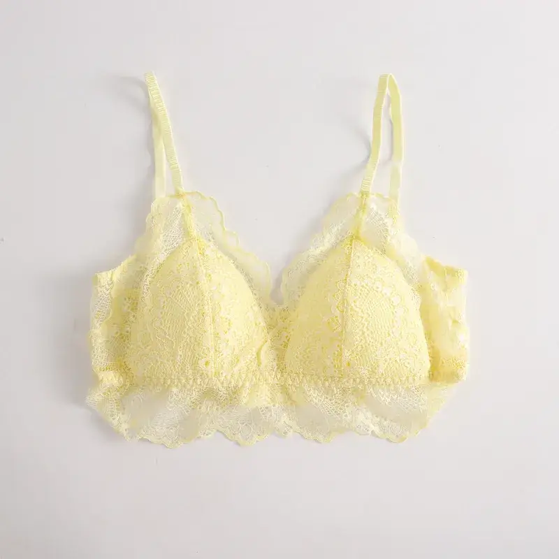 Lace Wire-Free French Triangle Cup Silk Bra Lining 100% Mulberry Silk Intimates Women's Bra Beautiful Breasts and Light - Image 4