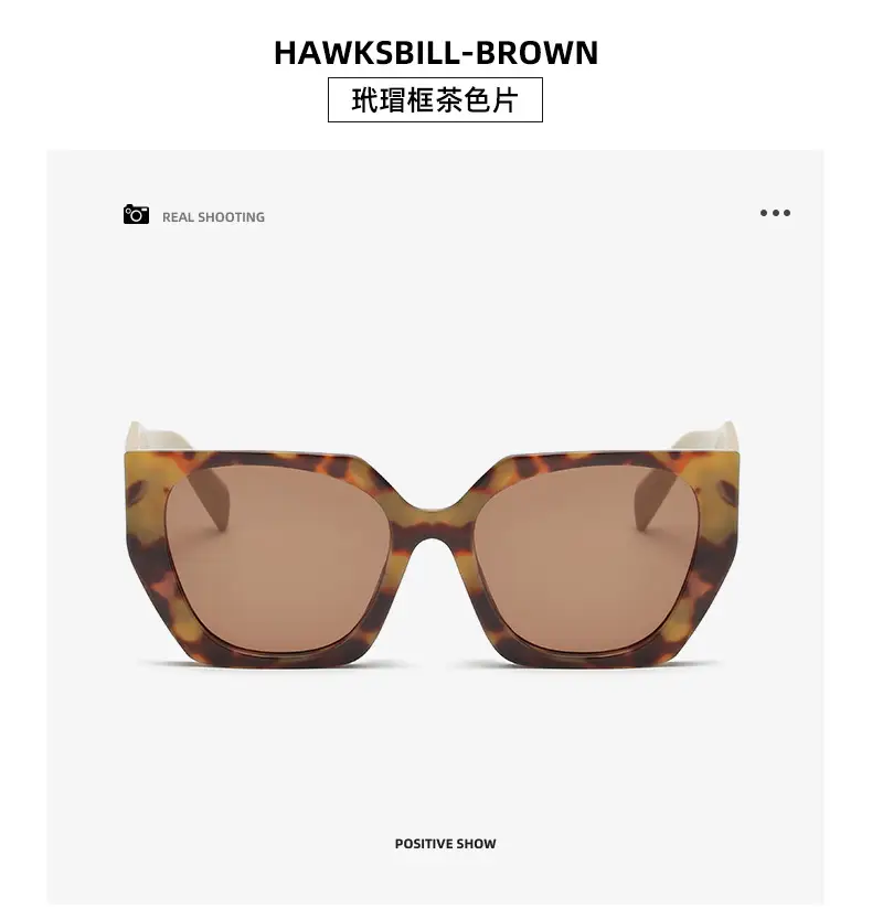 New European Sunglasses Diamond Temples Contrasting Colors — feature 18