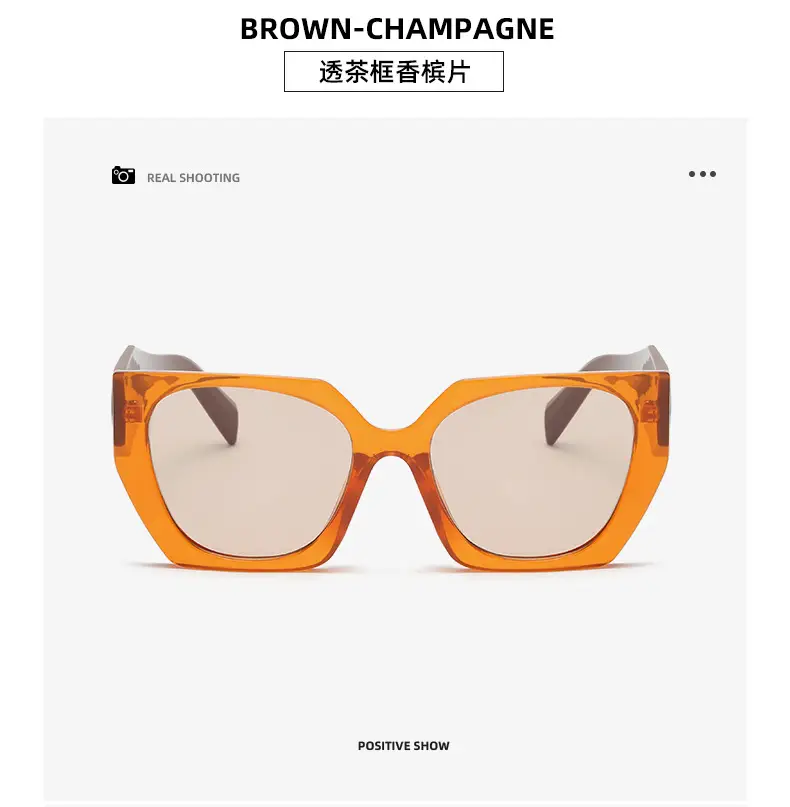 New European Sunglasses Diamond Temples Contrasting Colors — feature 20
