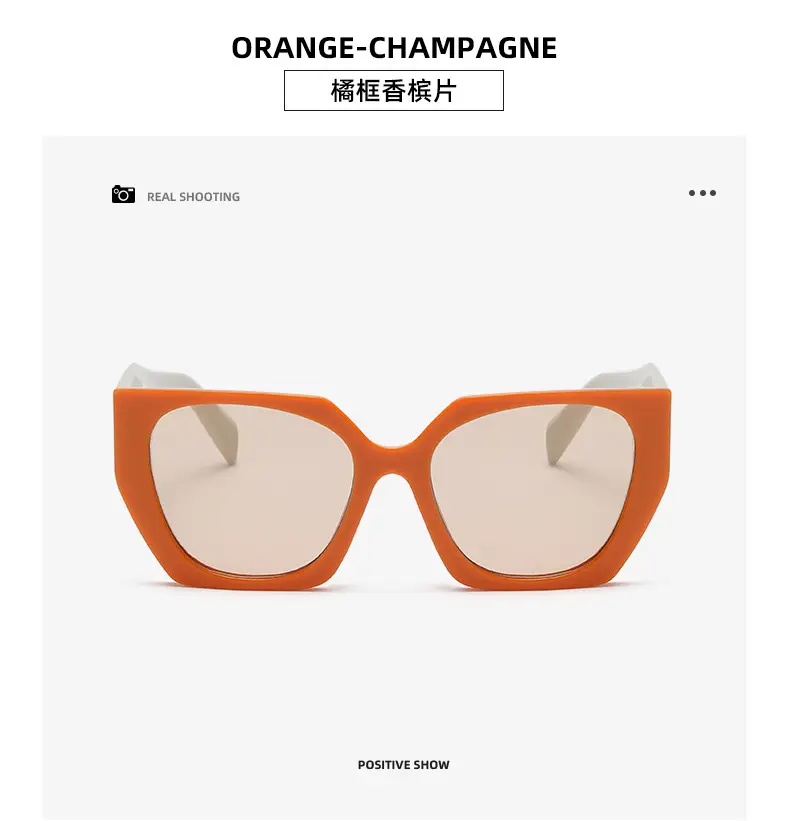 New European Sunglasses Diamond Temples Contrasting Colors — feature 22