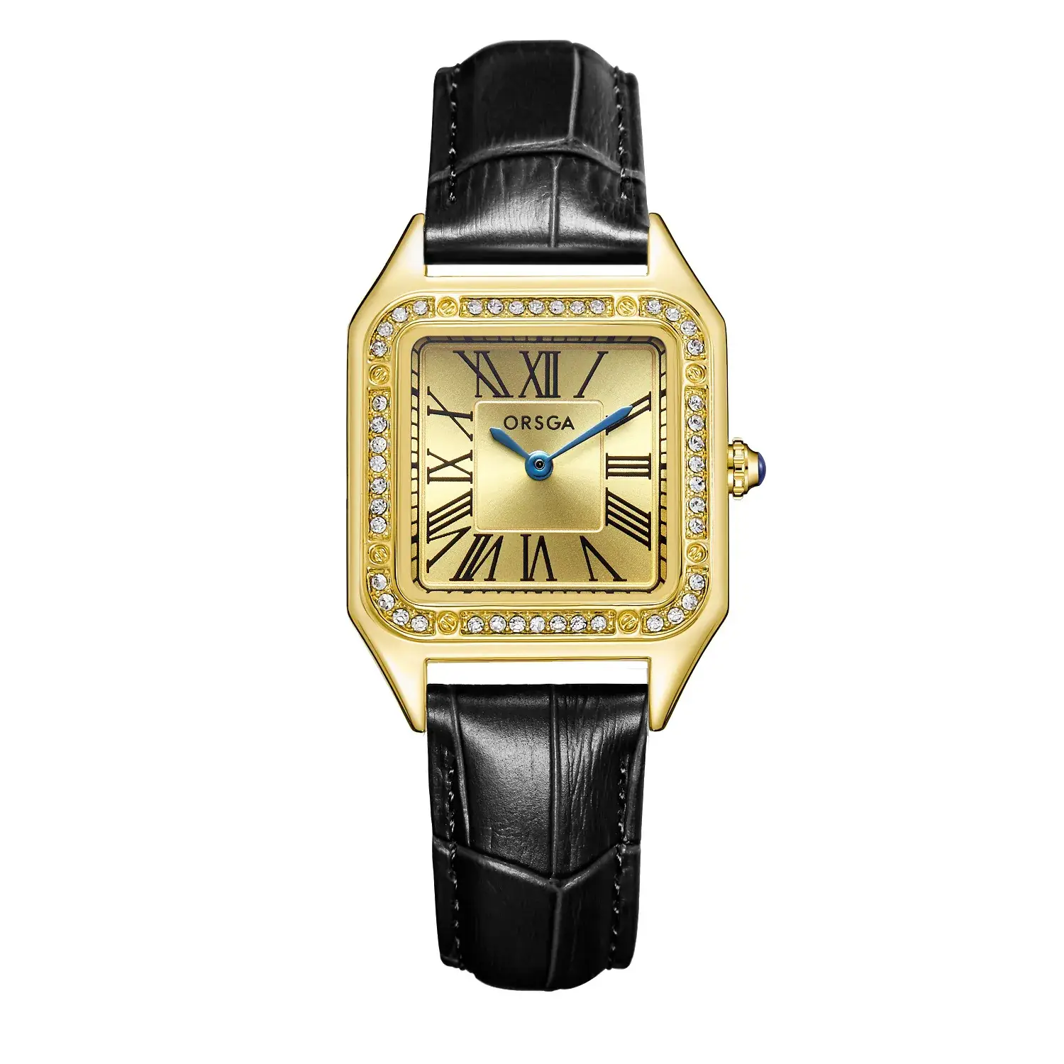 Black belt gold shell gold face