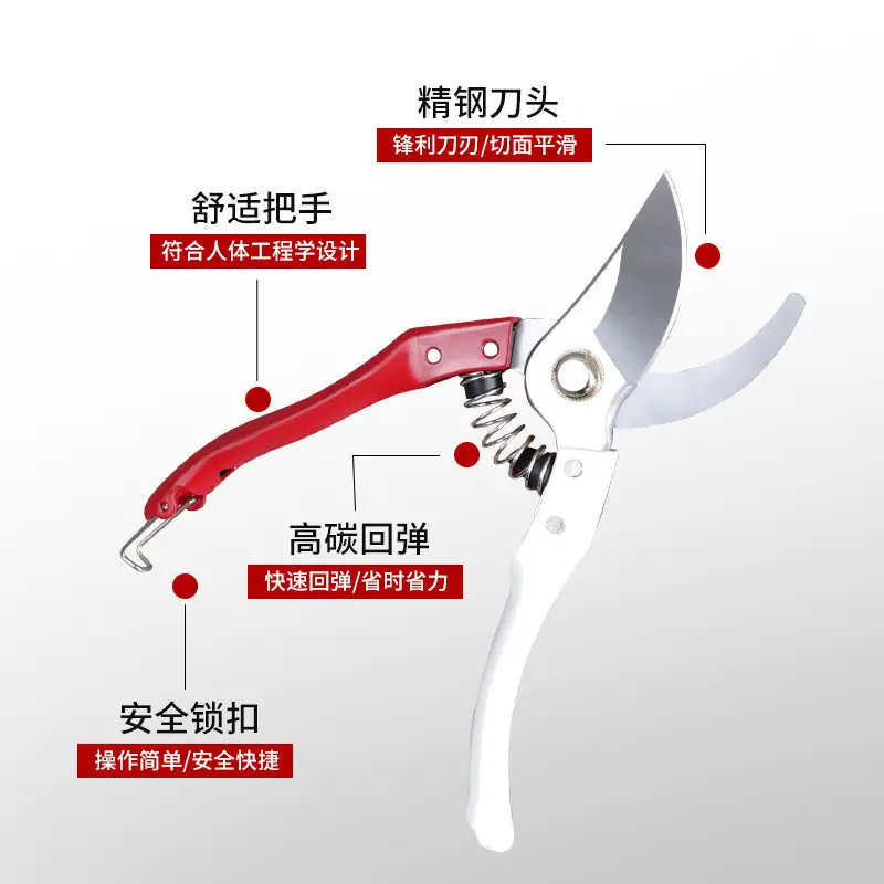 Gardening pruning shears coarse branch shears fruit tree bonsai pruning tools stainless steel floral scissors flower shears
