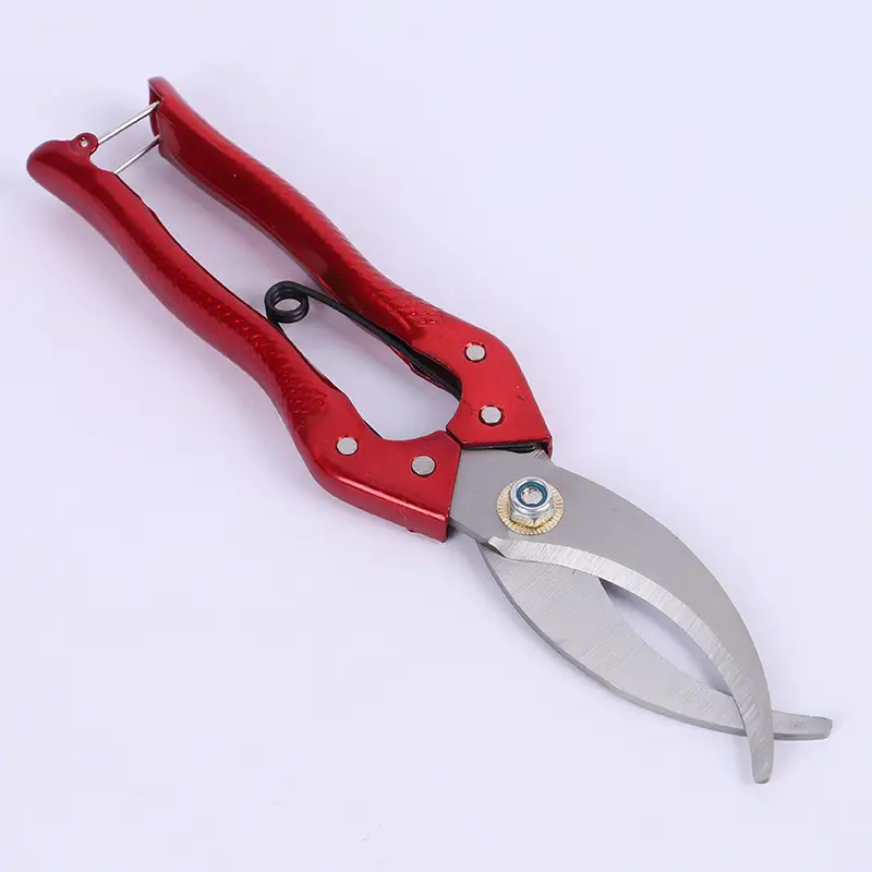 Ring Cutter Scissors Wholesale Fruit Tree Peeler Pruning Shears Garden Tools Greening Peeling Knife Ring Cutter Ring Cutter