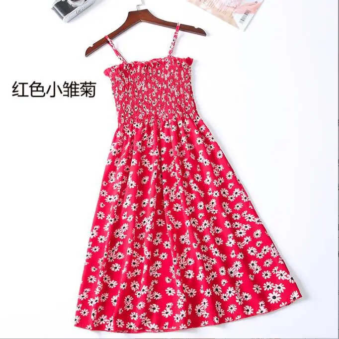 红色小雏菊