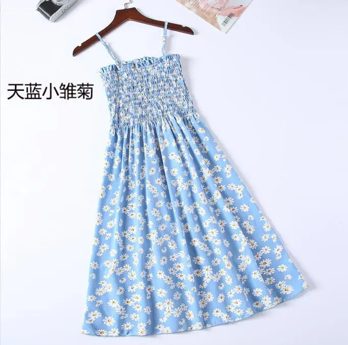 天蓝小雏菊
