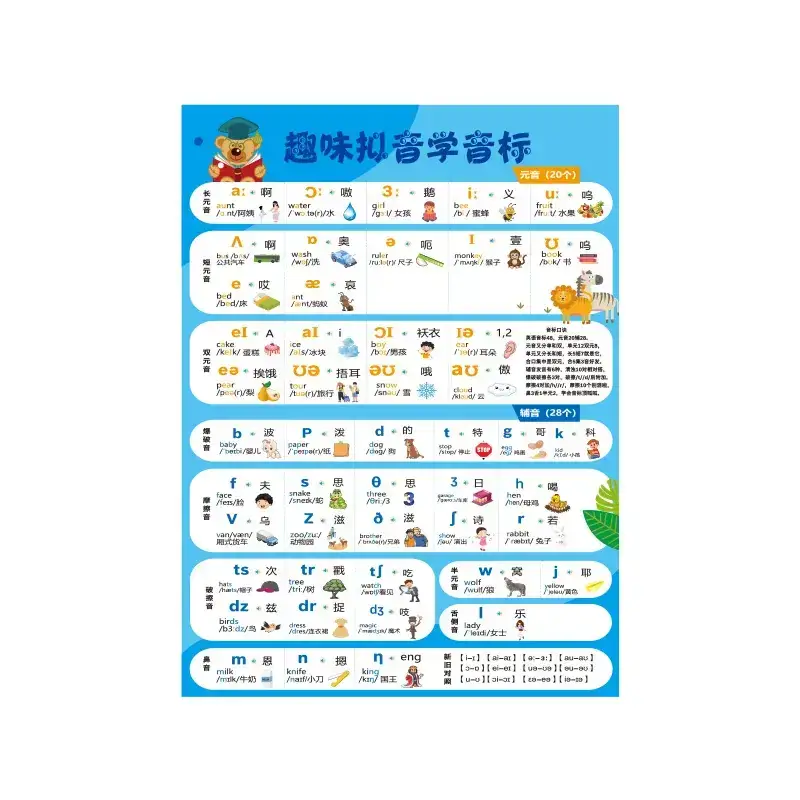 Primary School English Phonetics Wall Chart with Word Memorization - Image 6