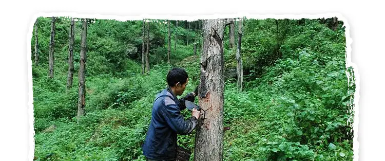 蒙古风木碗