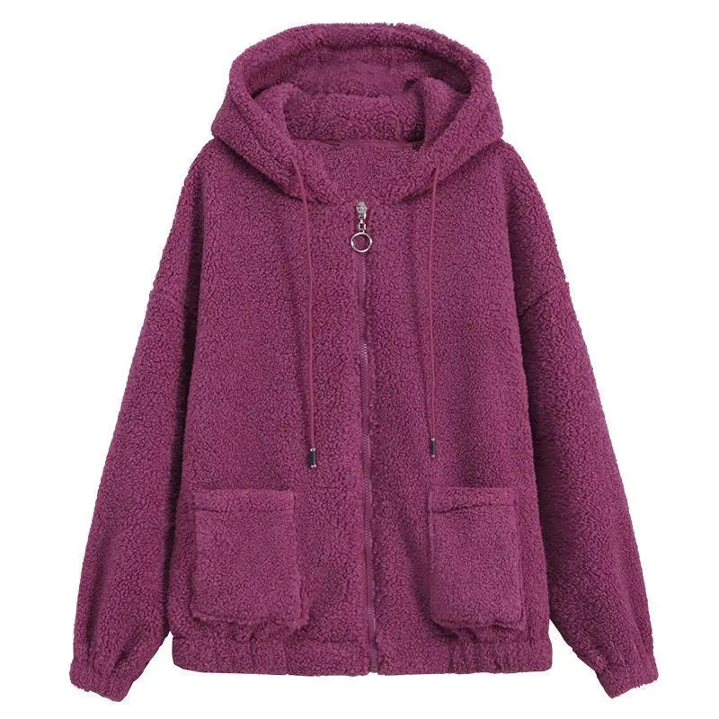 Lamb Velvet Hooded Sweatshirt Women 2025 Winter Warm - Image 8