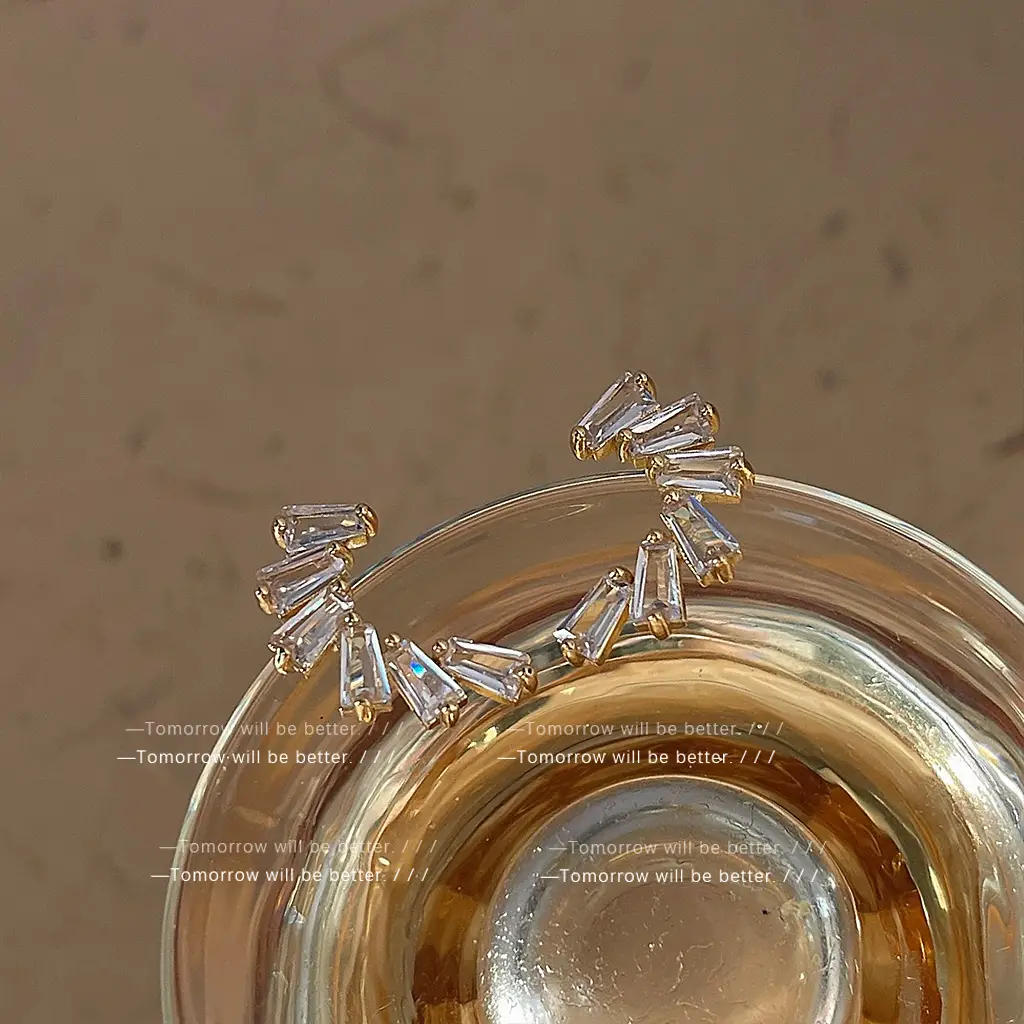Light Luxury Zircon Earrings for Women Wholesale - Image 4