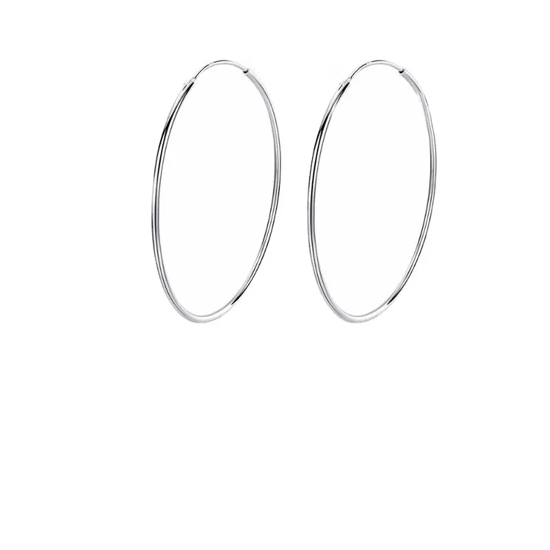 S925 Sterling Silver Hoop Earrings for Women - Image 6