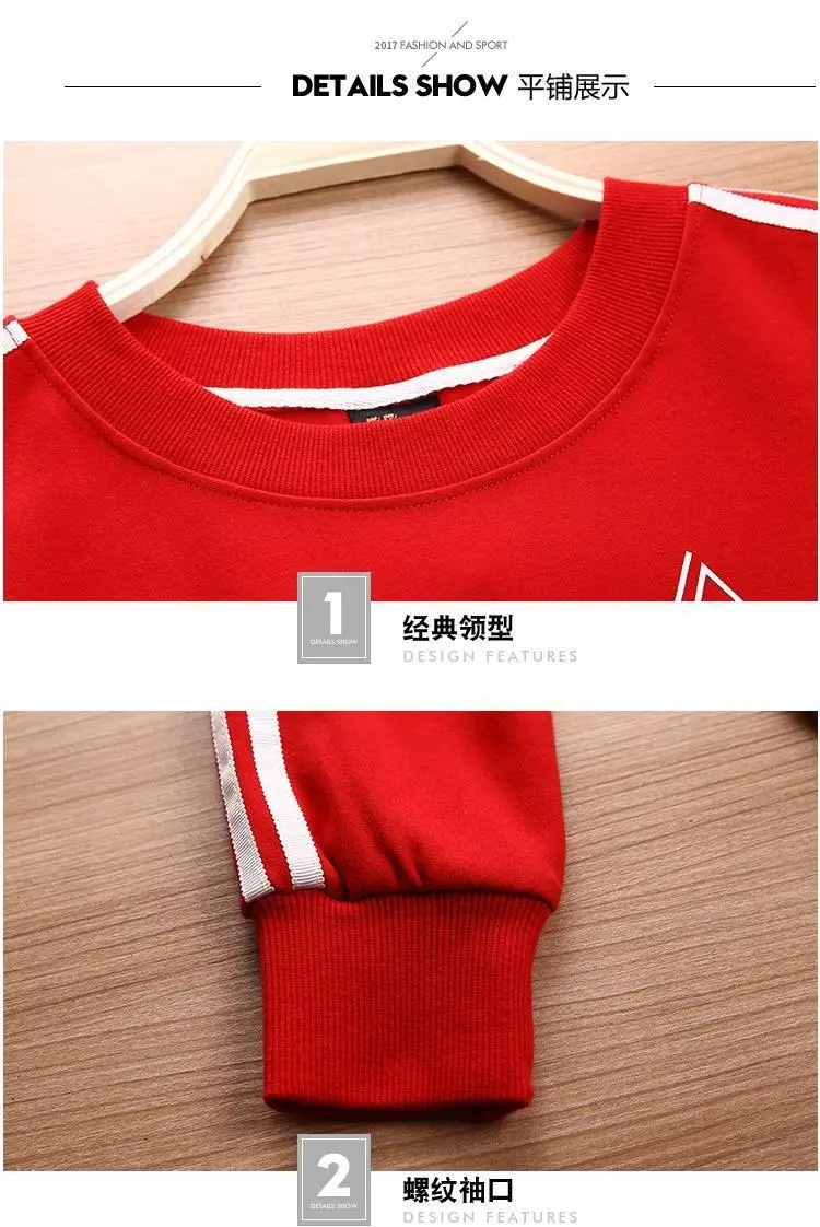 Women Grey Sweatshirt Track Suit Long Sleeve Crewneck Large — feature 10