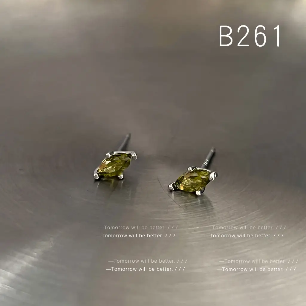 B261