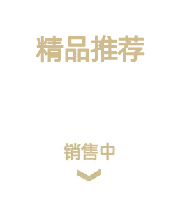 Japanese Samurai Umbrella Black 107cm Foldable — feature 2