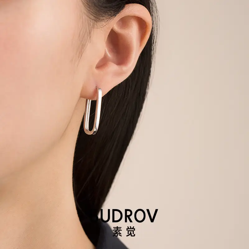 2022 New Sterling Silver Earrings for Women - Image 4