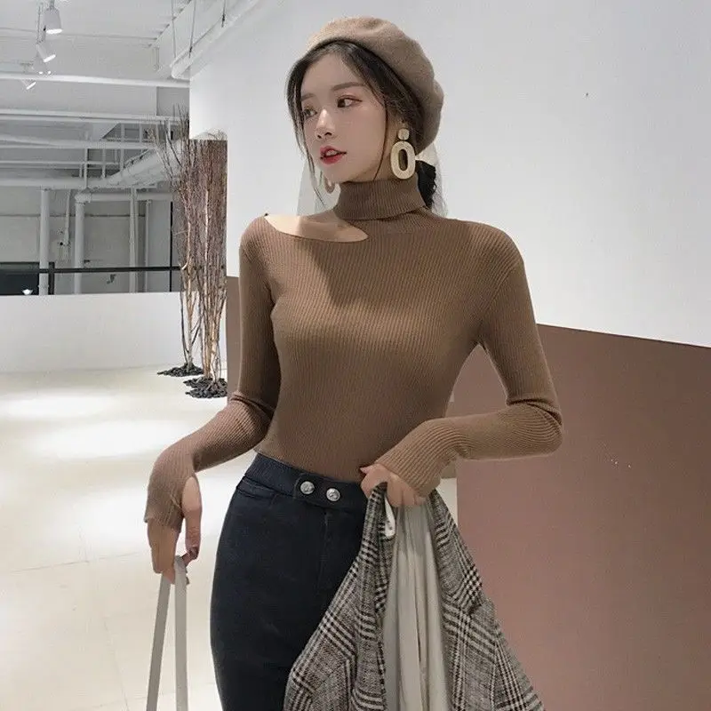 Women's Blue Knit Slim Fit Turtleneck Sweater