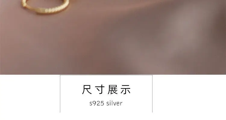 Gold Plated Korean Small Earrings for Women — feature 14