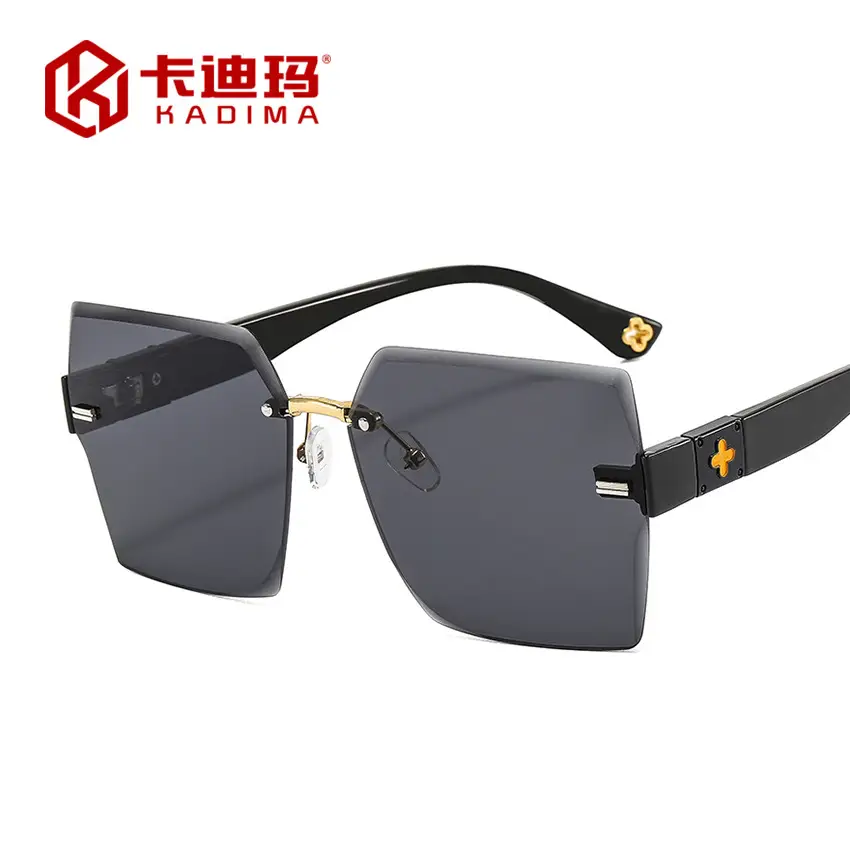 2022 New Style Black Sunglasses with 4-Leverage Frame - Image 8