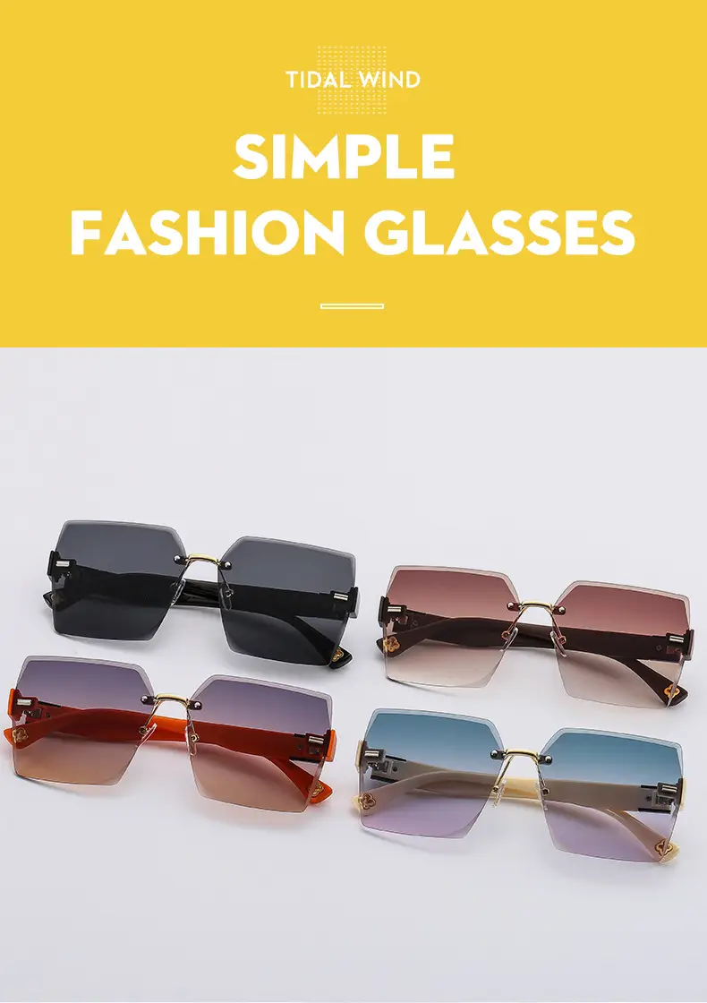 2022 New Style Black Sunglasses with 4-Leverage Frame — feature 2