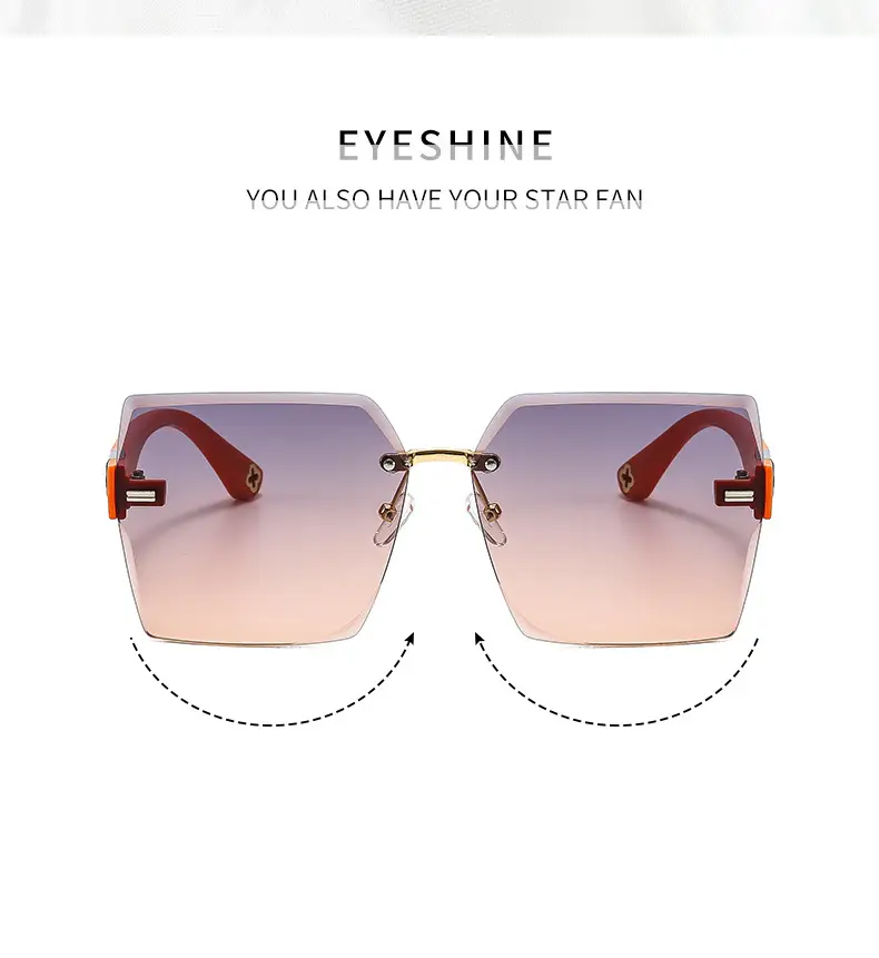 2022 New Style Black Sunglasses with 4-Leverage Frame — feature 3