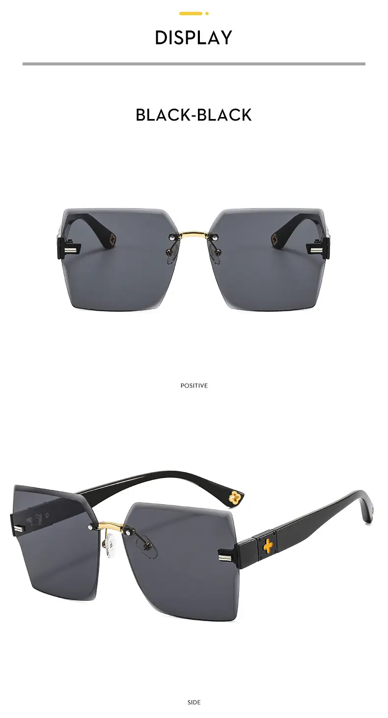 2022 New Style Black Sunglasses with 4-Leverage Frame — feature 8