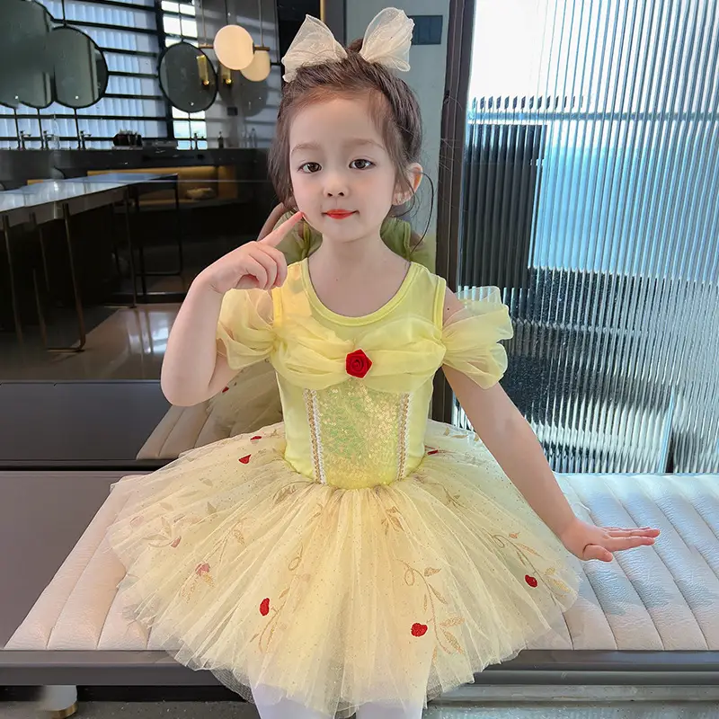 Girls Ballet Suit Training Dress Mesh Princess Dress