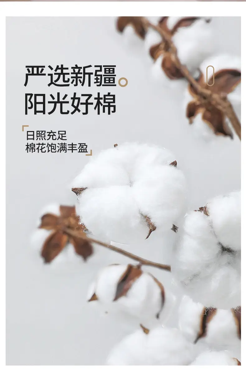 详情图10.jpeg